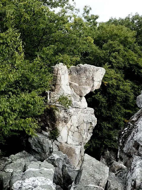 P9190874.webp
