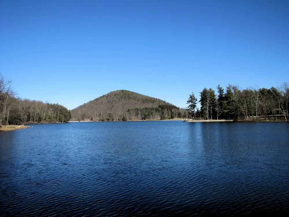 IMG_0074.webp