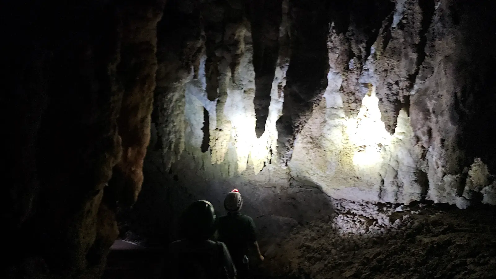 Stalactites in the cave