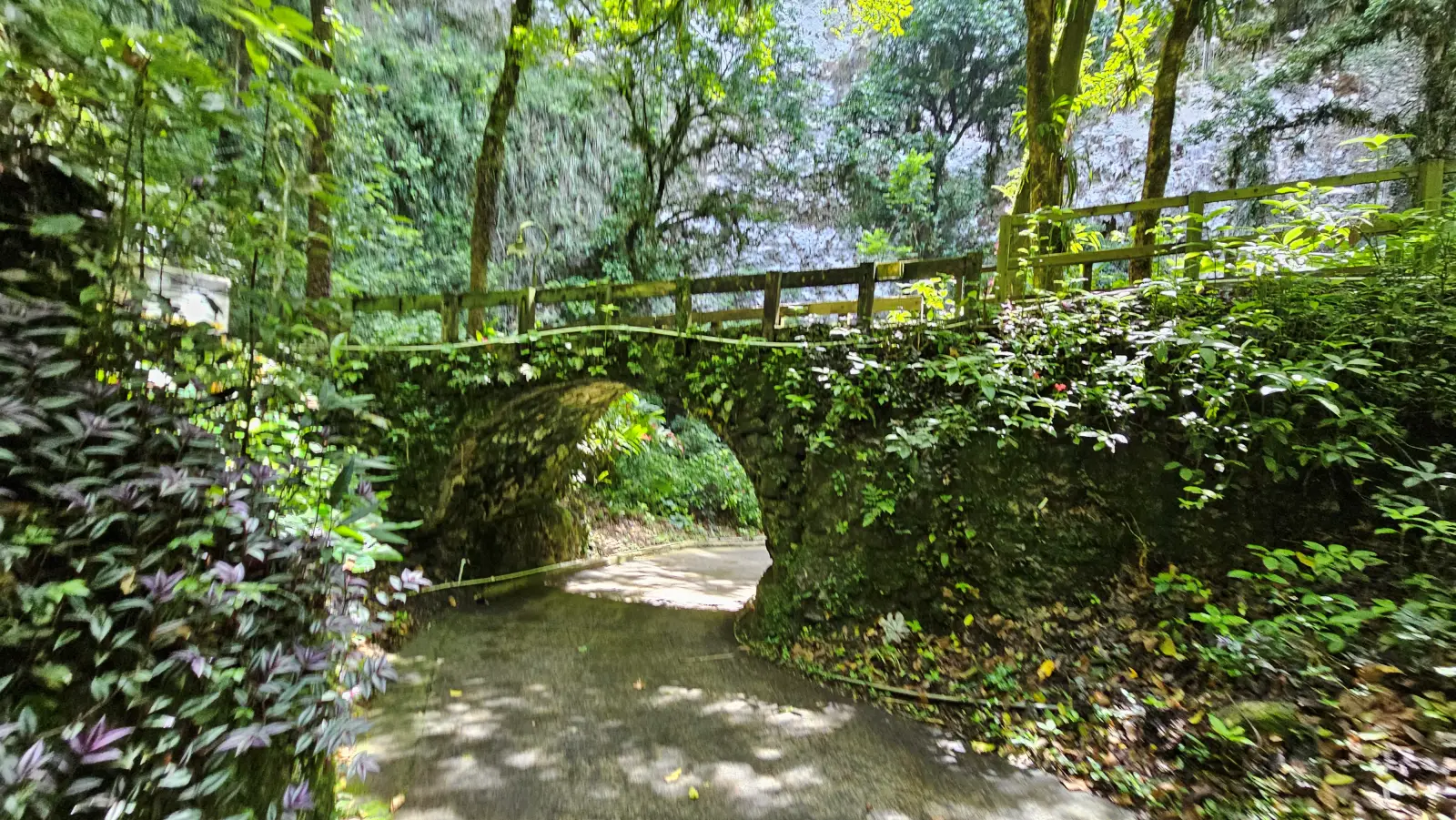 The trail down to the Cueva Clara cave