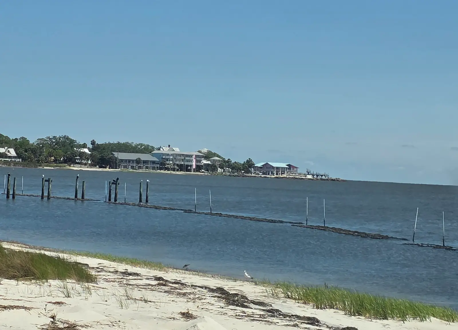 View of downtown across Daughtry Bayou