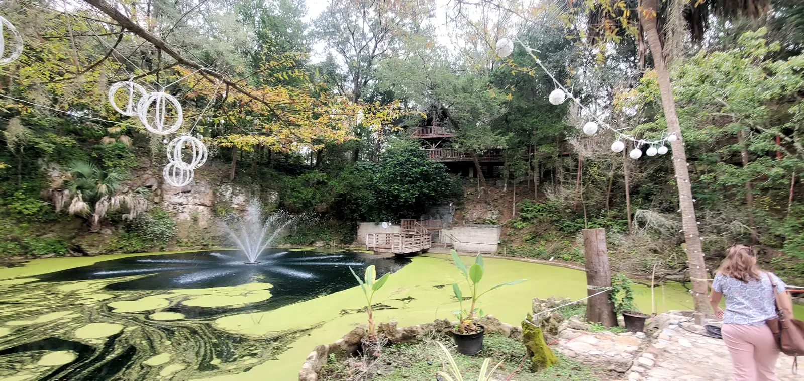 Cedar Lakes Woods and Gardens fountain