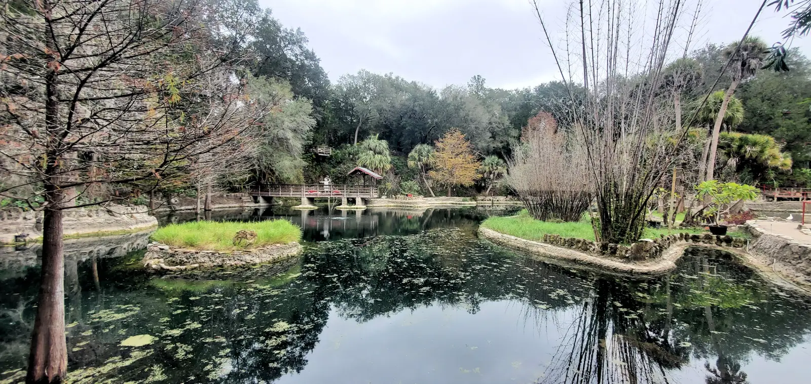 Cedar Lakes Woods and Gardens lake