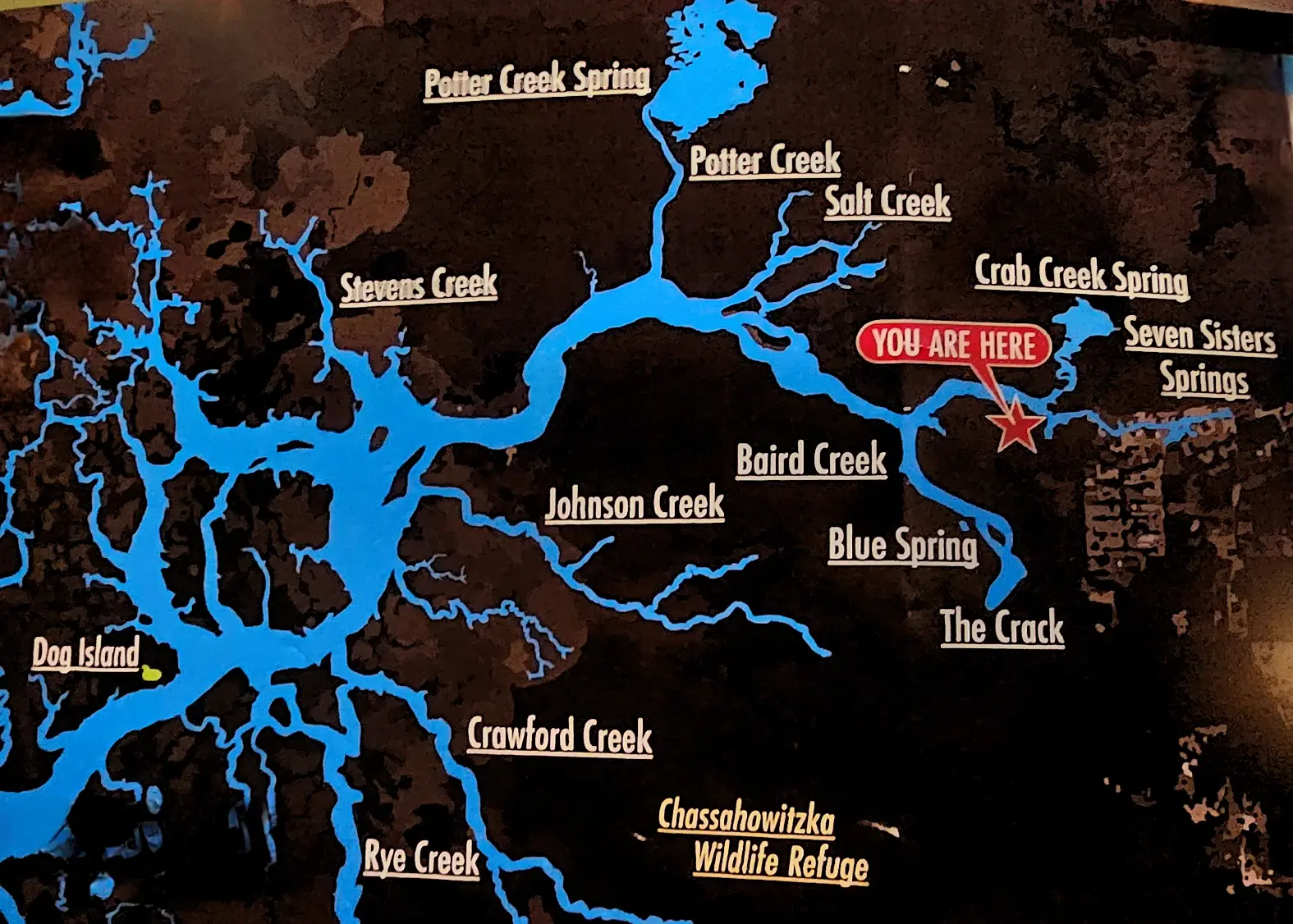Chassahowitzka river and springs map
