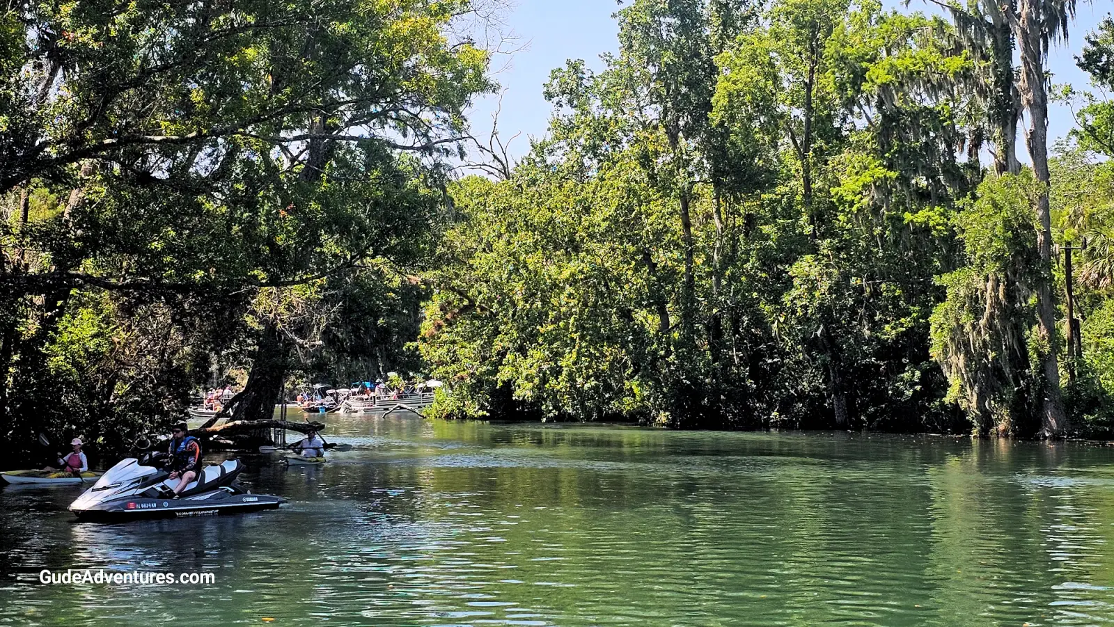 Jet ski on the Chassahowitzka river