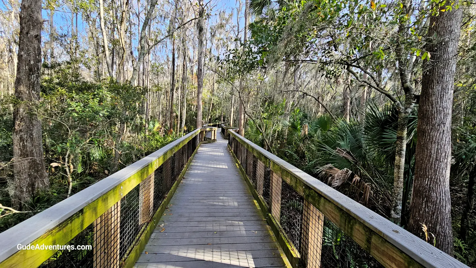 Boardwalk in the park