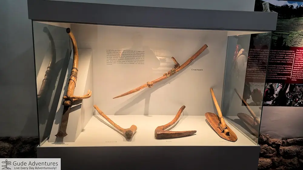 Inca agricultural tools in the museum