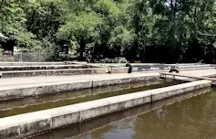 Burton Trout Hatchery on Lake Burton