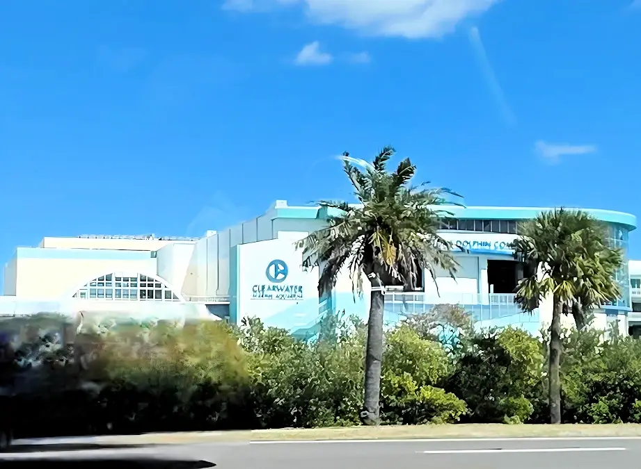 Clearwater Marine Aquarium