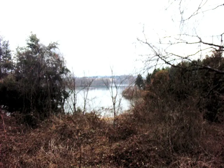 View of a cove on Lake Marburg from the trail