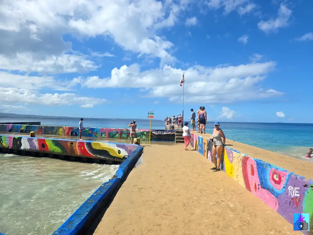 Pelican and his catch at Crash Boat Beach