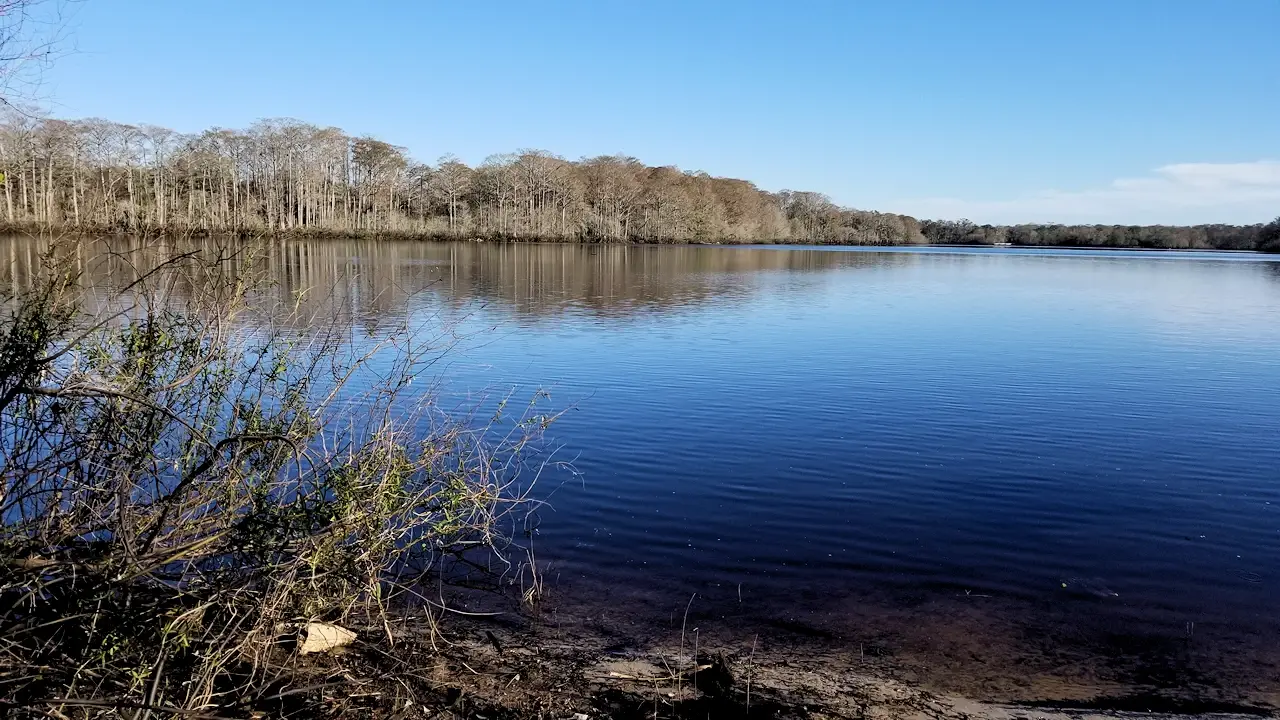Silver Lake in the Withlacoochee State Forest