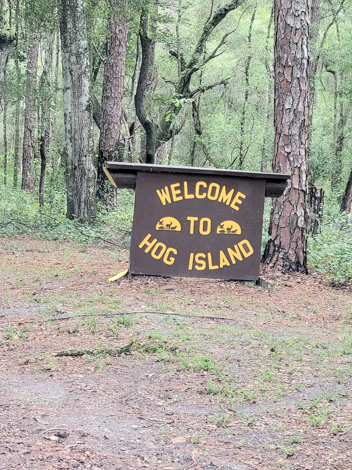 Hog Island on the Withlacoochee River