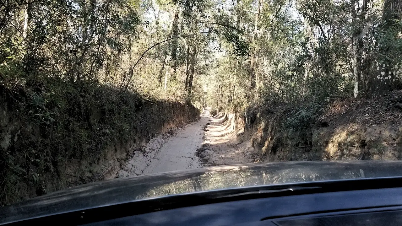 Off road jeep trails in the Withlacoochee State Forest