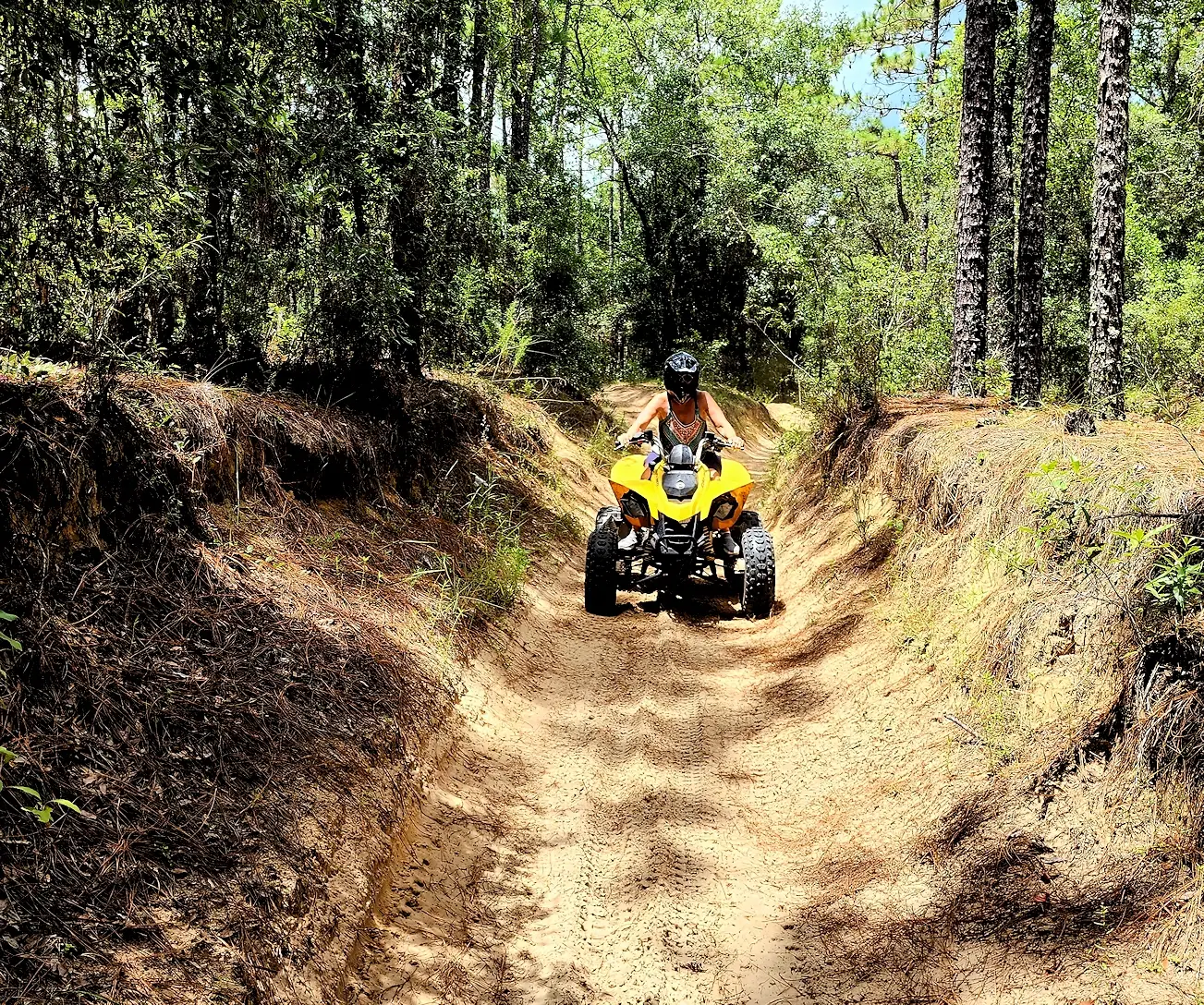 ATV and motorcycle trail in the Croom Motorcycle Area (CMA)