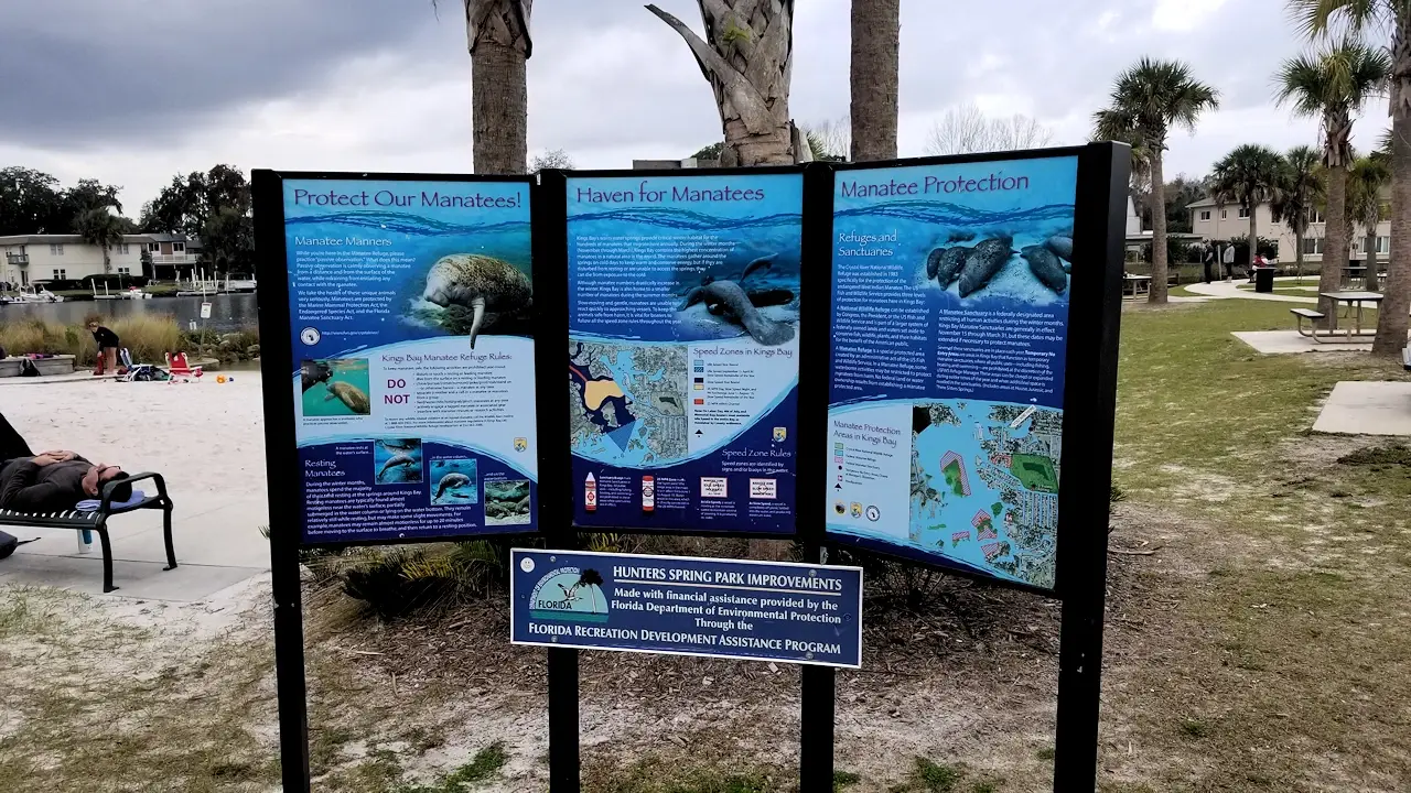 Information on Manatees at Hunter Springs
