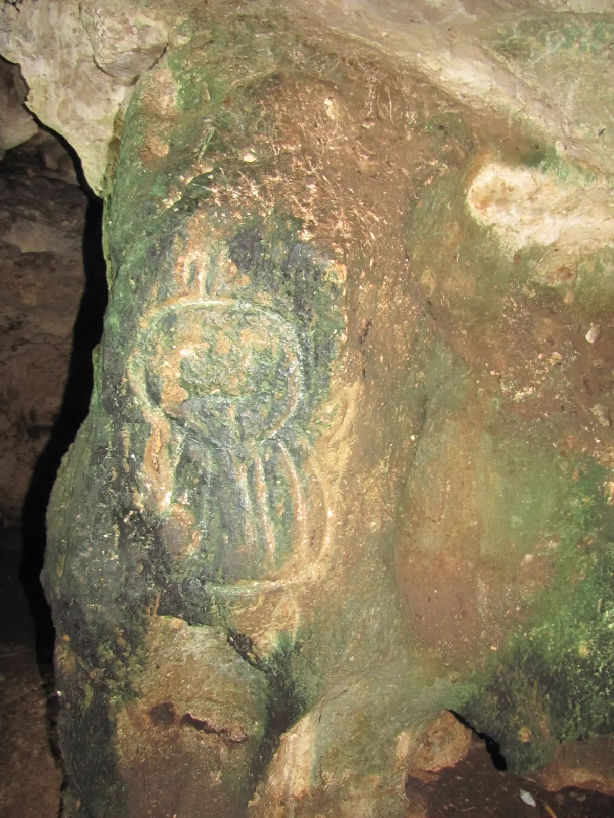 ancient Taino petroglyph on one of the stalactites.