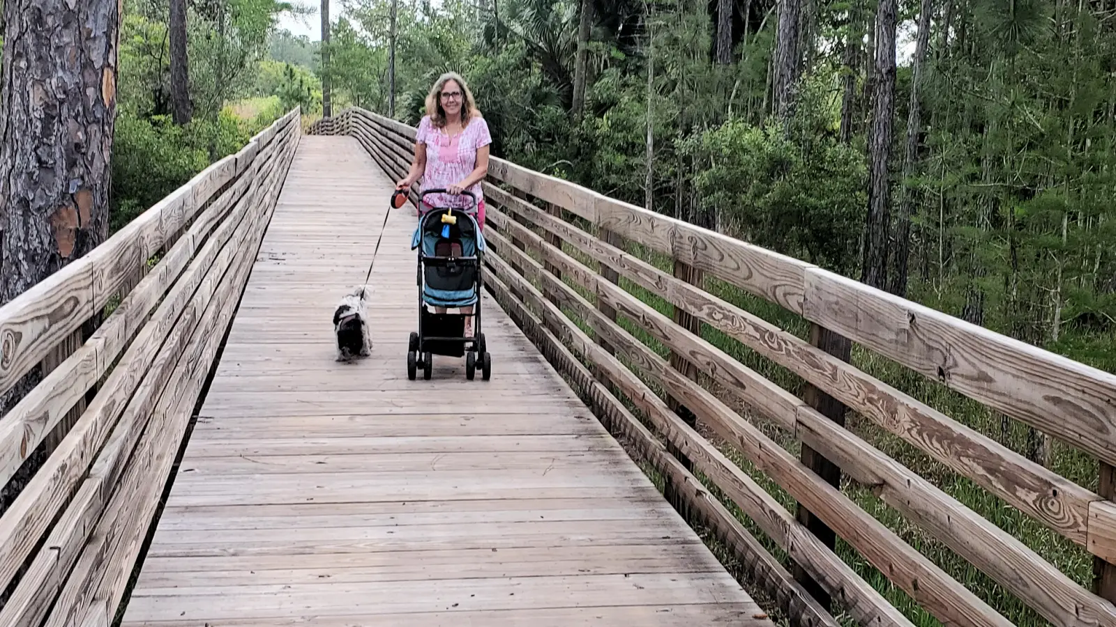 Wildlife at Cypress Creek Preserve