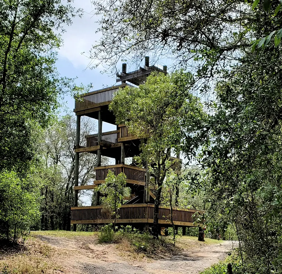 Observation tower at the Withlacoochee River Park