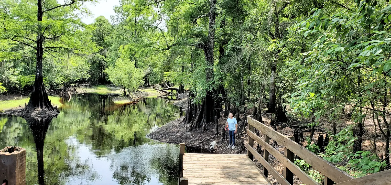  Withlacoochee River Park
