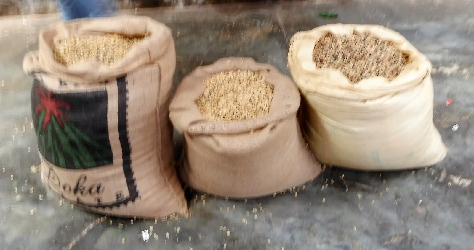 Doca Coffee Plantation