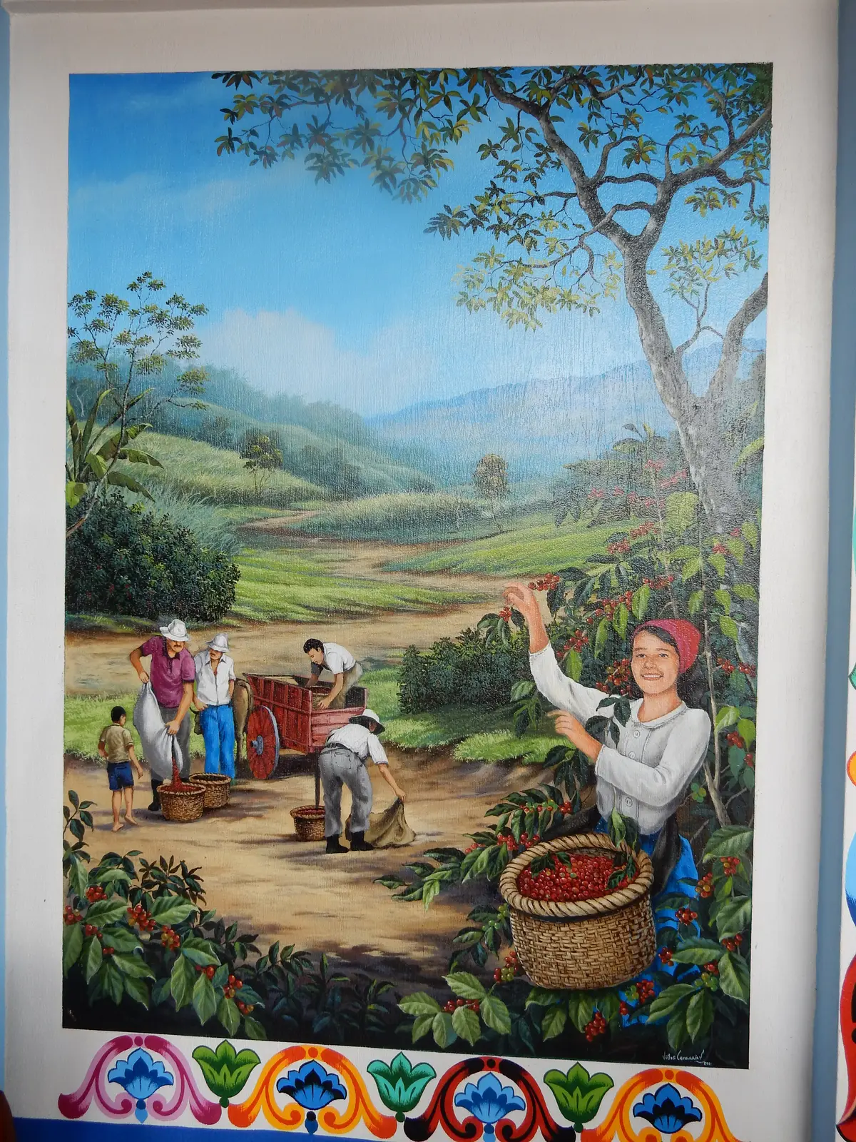 Doca Coffee Plantation