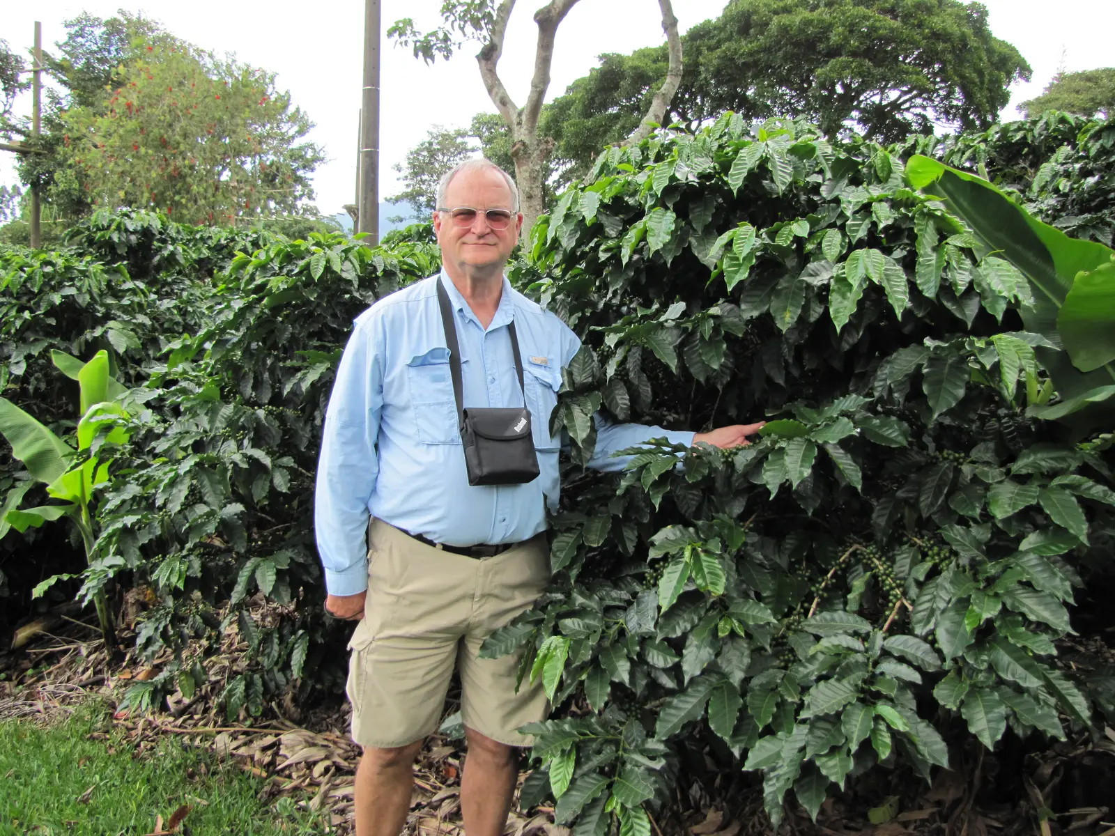 Doca Coffee Plantation