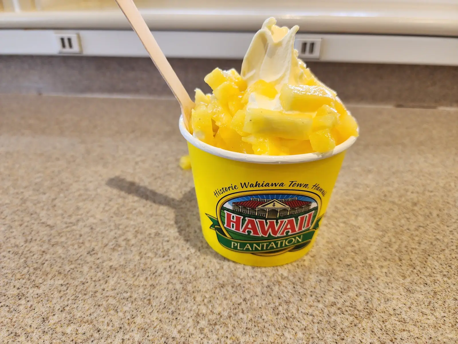 Dole ice cream with pineapple slices..
