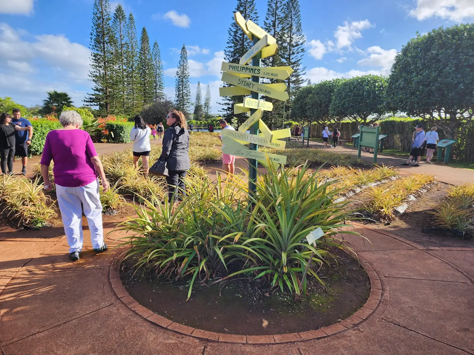 Dole Pineapple Plantation Gardens