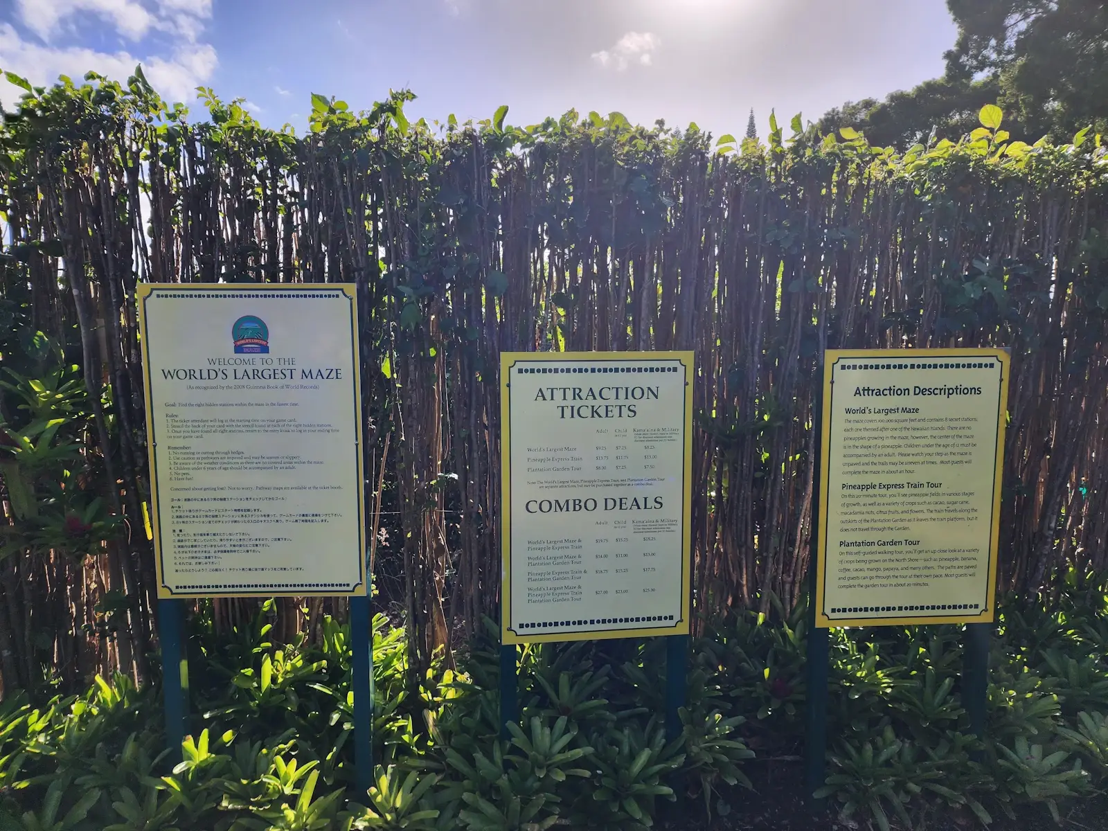 Dole Pineapple Plantation maze
