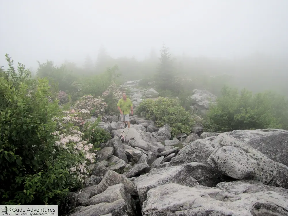Rocky trail at Dolly Sods