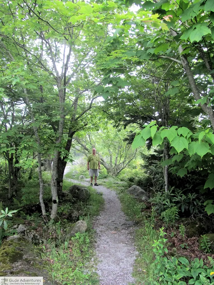 Hiking on a trail on Dolly Sods