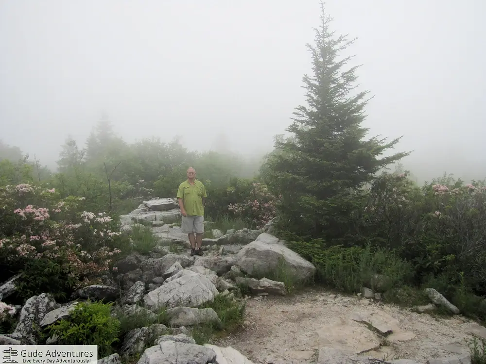 Terrain on the Dolly Sods plateau