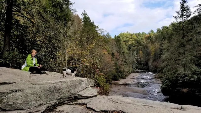 View from top of High Falls
