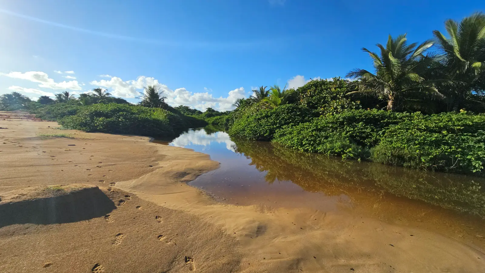 Pitahaya River flowing into the ocean