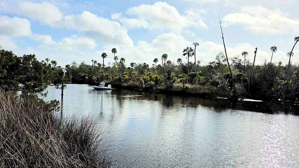 The Econfina River.
