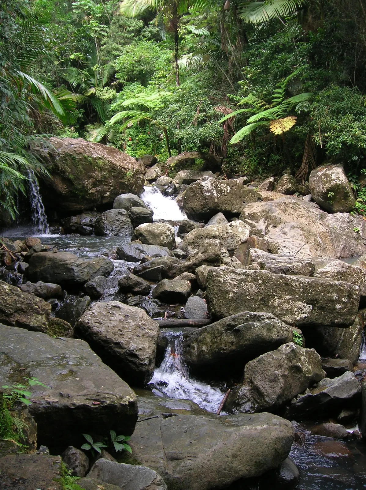 waterfall at El Yunque