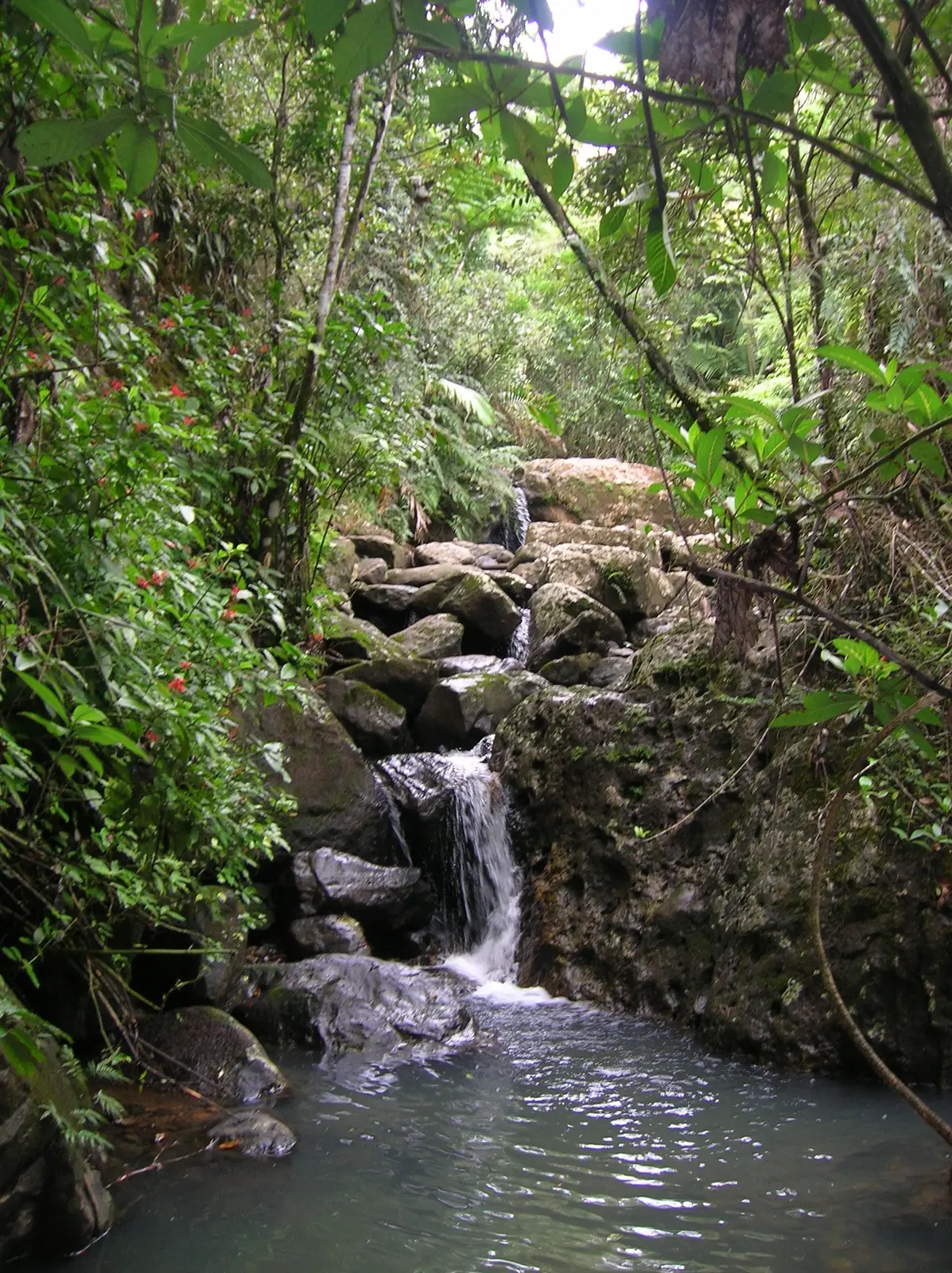 waterfall at El Yunque