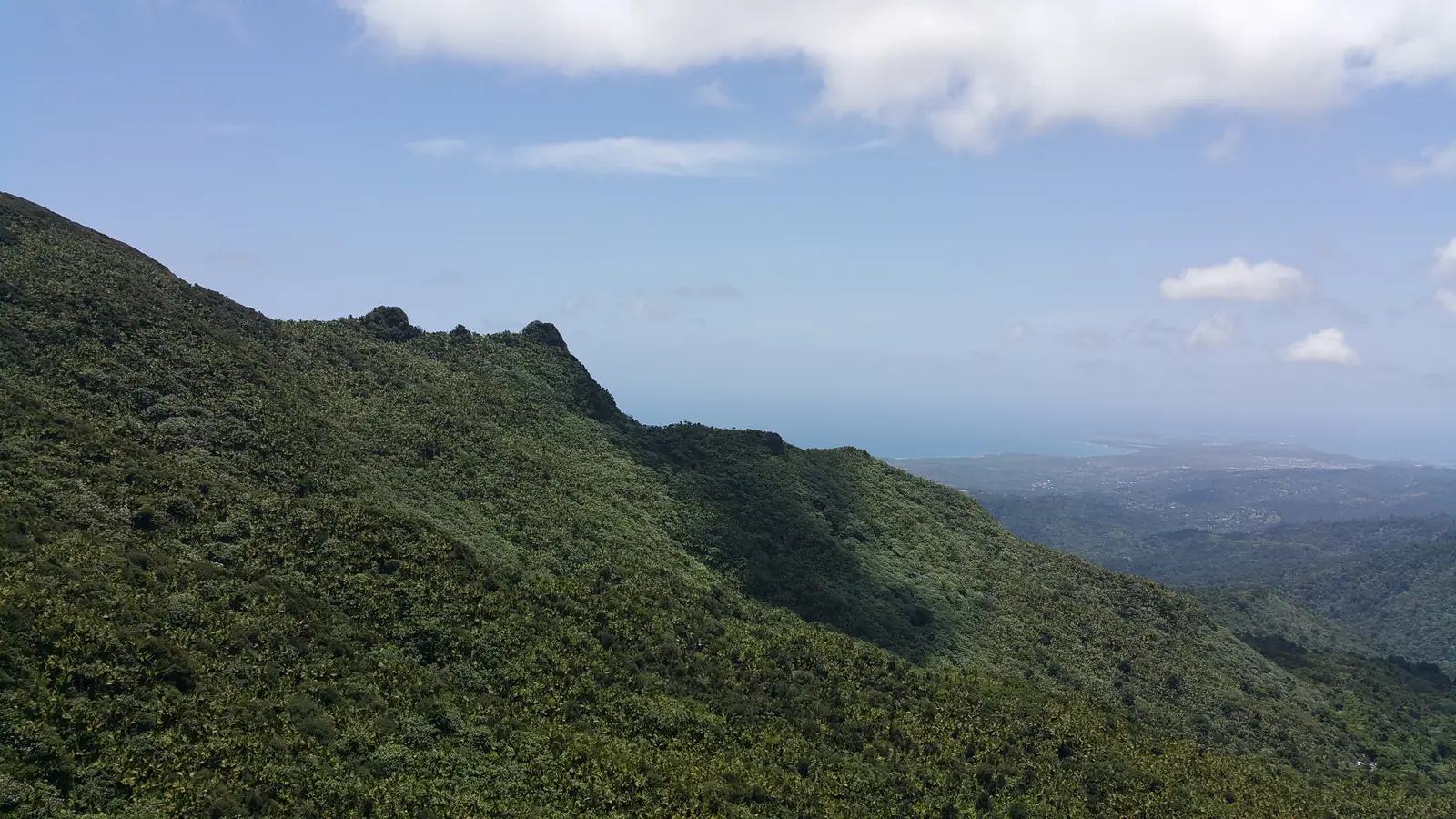 View from Mount Britton Tower