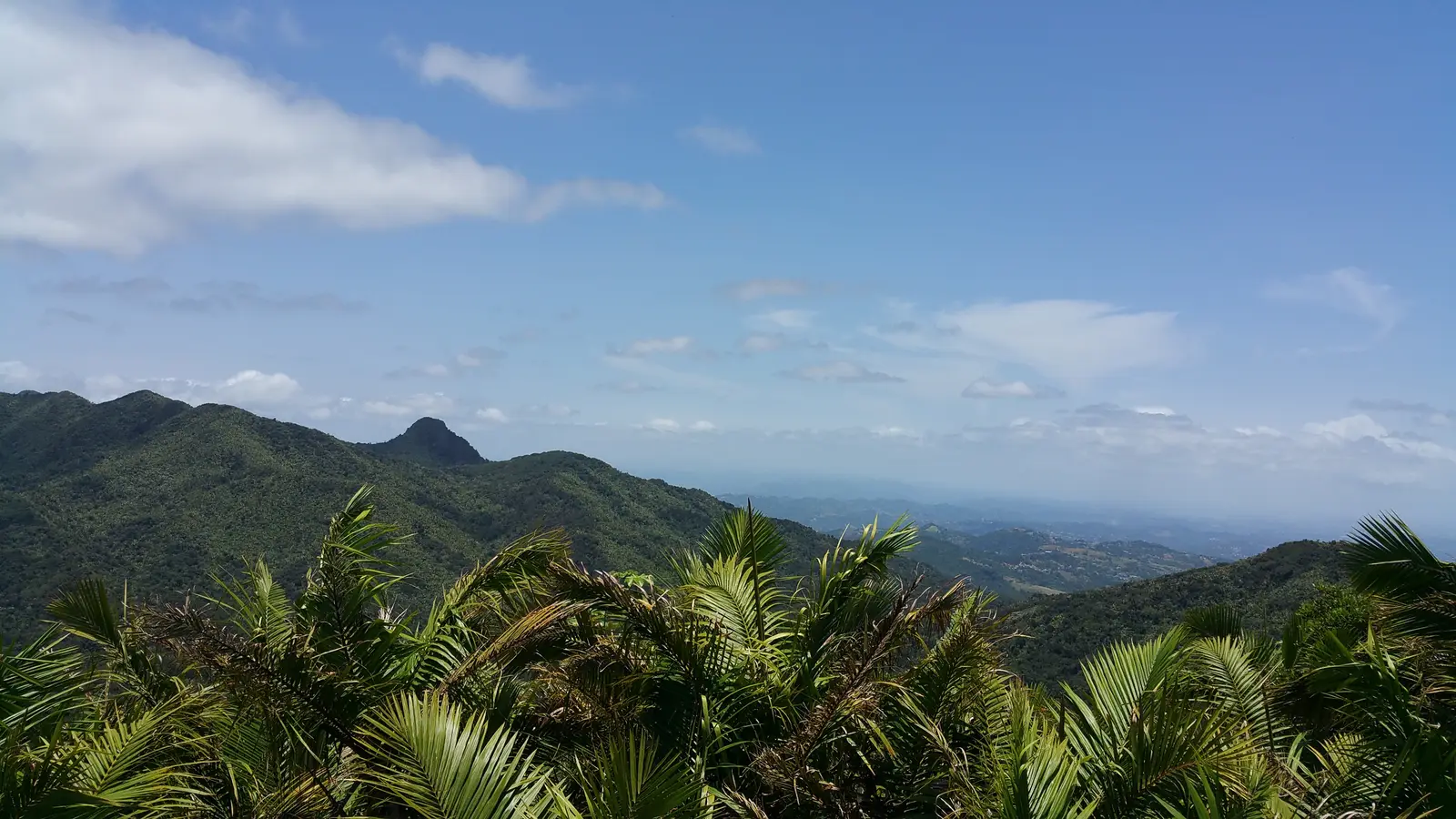 View from Mount Britton Tower