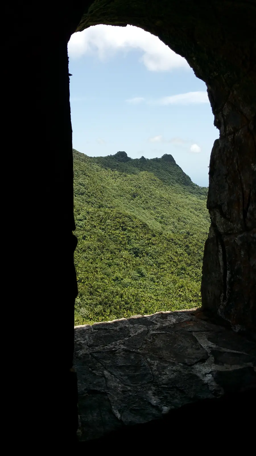 View from Mount Britton Tower