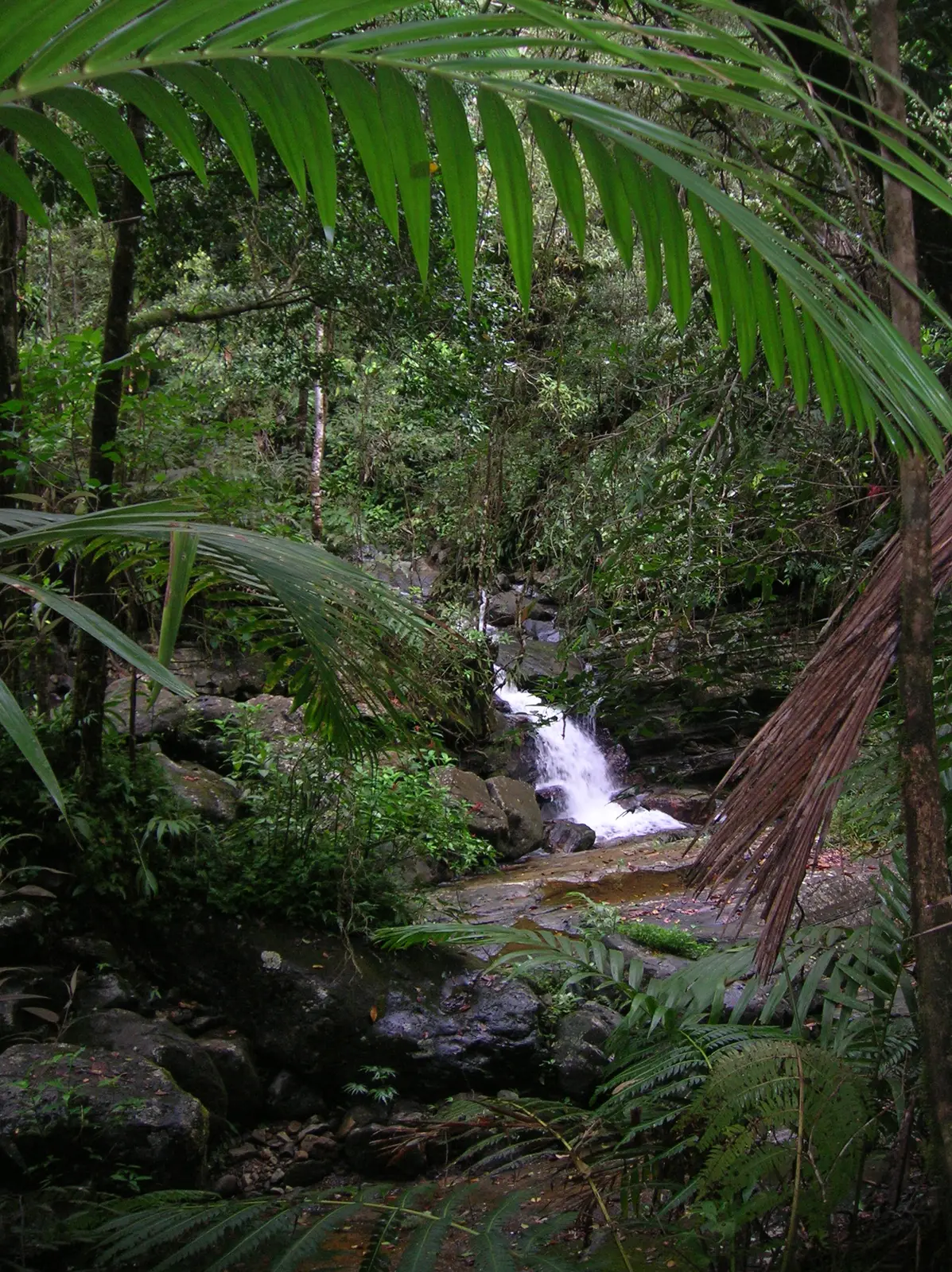 Waterfall on Mount Britton trail