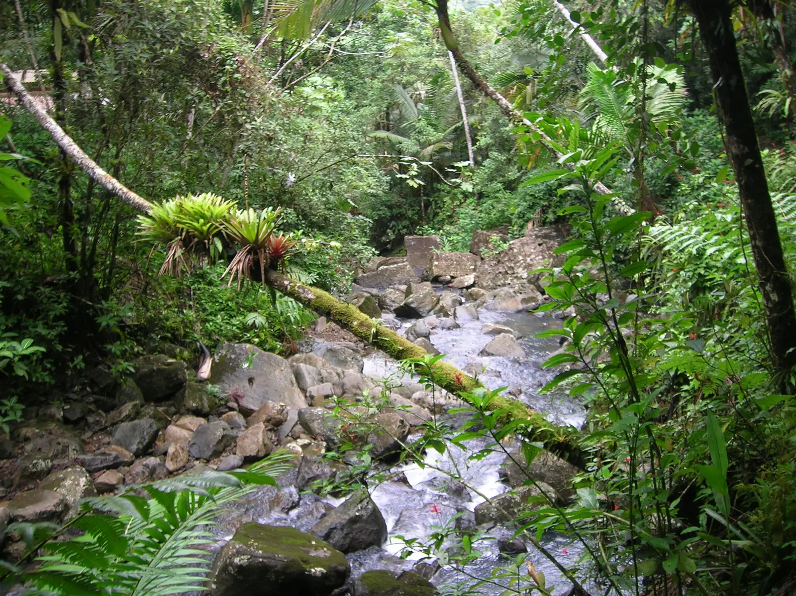 DSCN1723.JPG