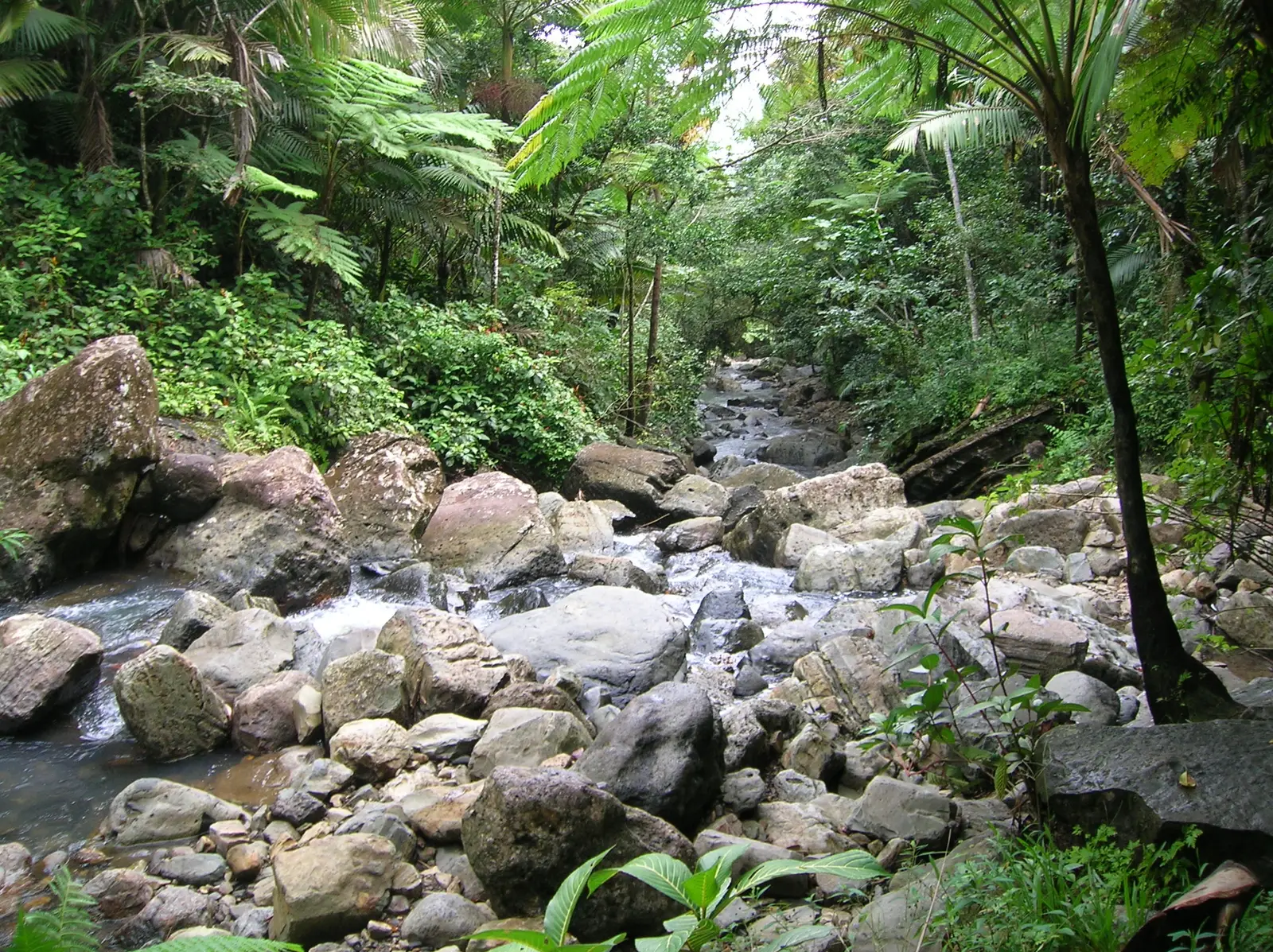 Catarata de La Mina
