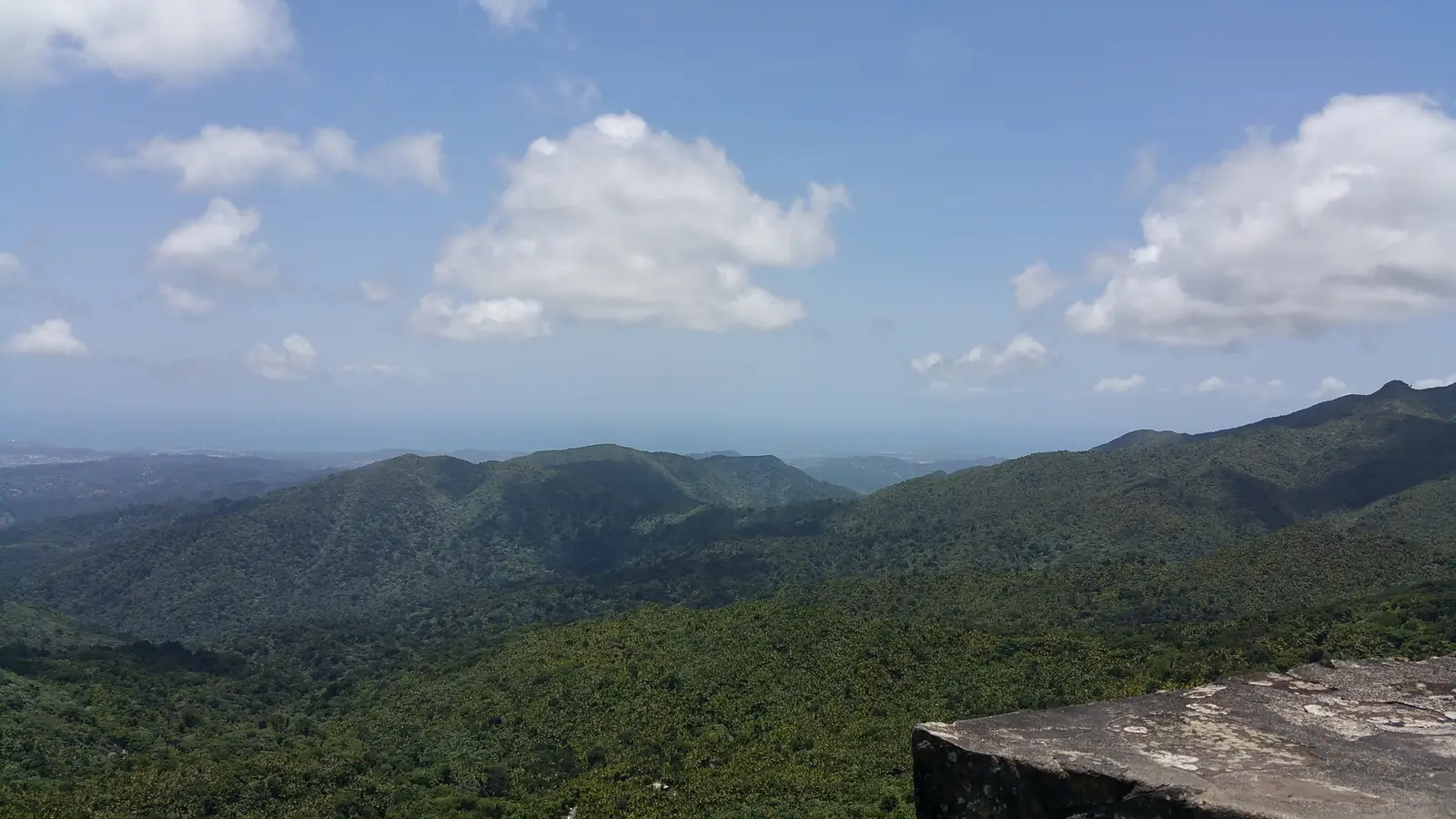 View from Mount Britton Tower
