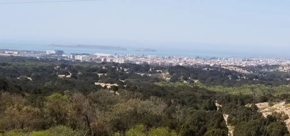 20180926_141245.jpg