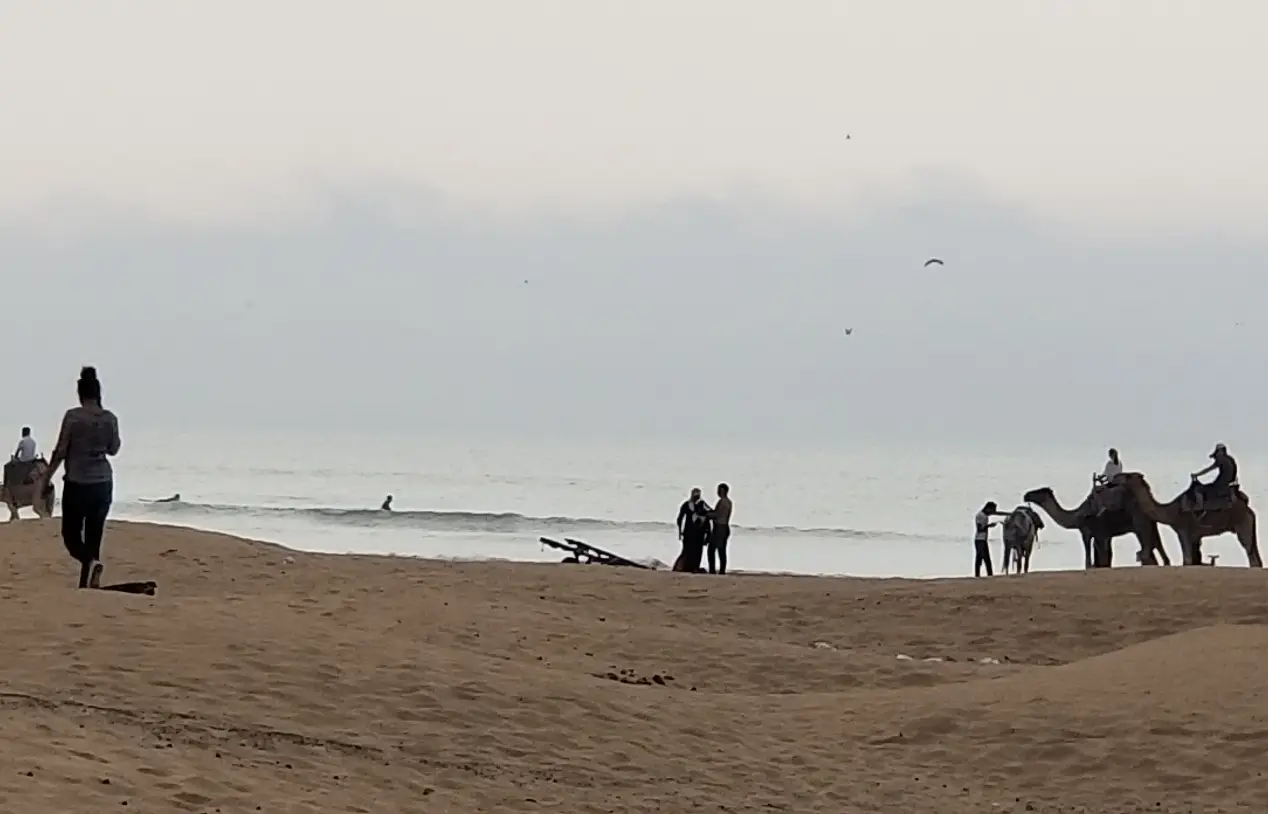 20180926_171357.jpg