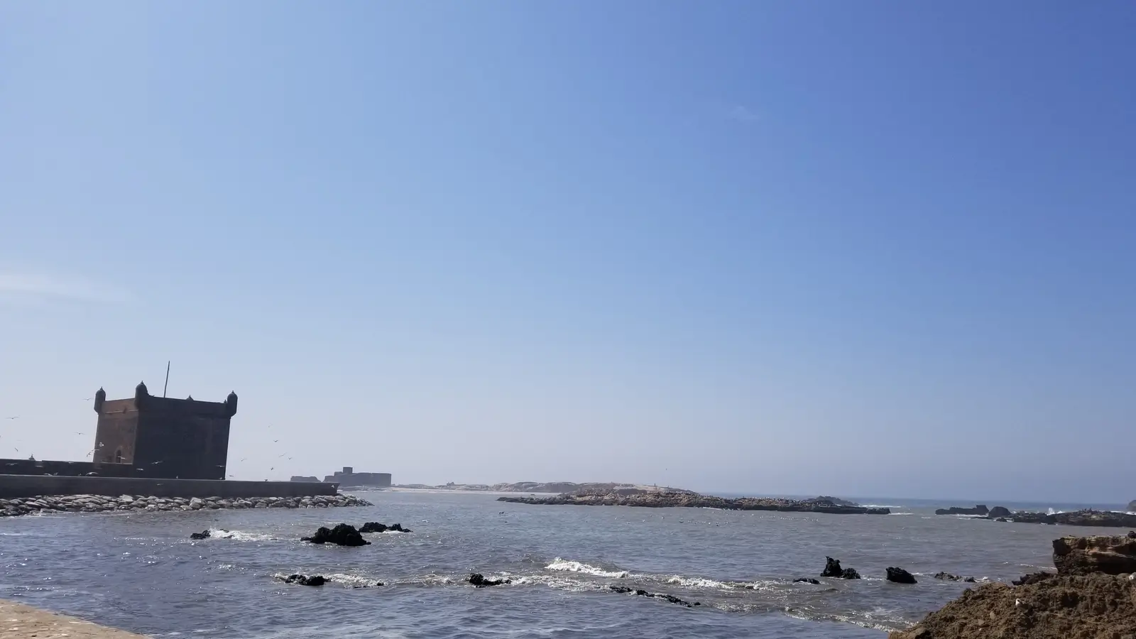20180926_142517.jpg