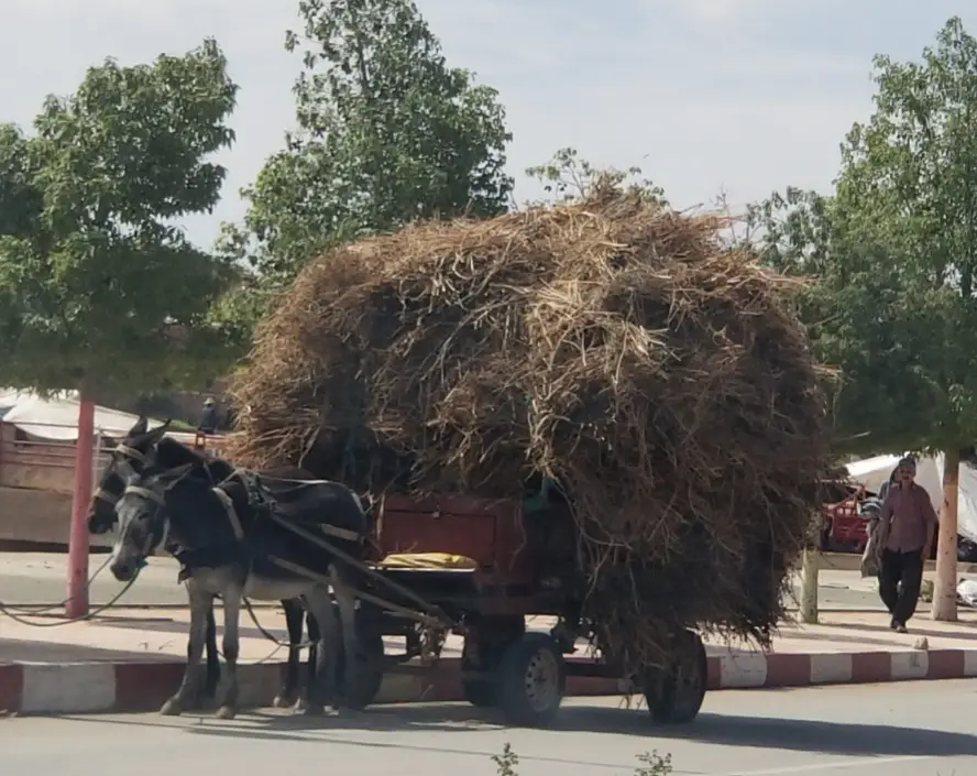 20180926_173659.jpg