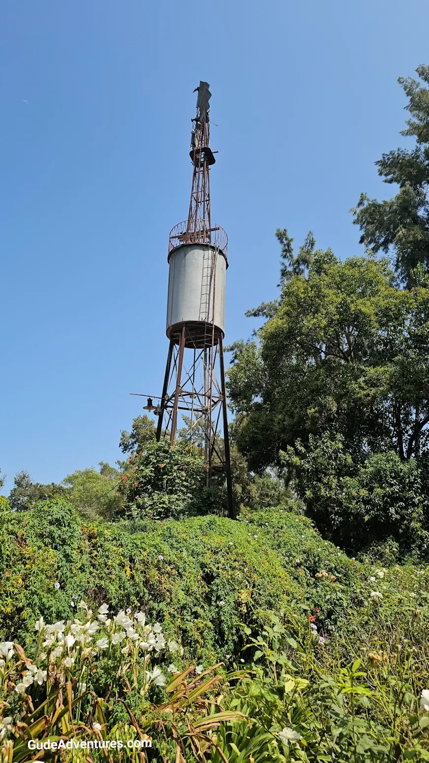 Water tower and garden